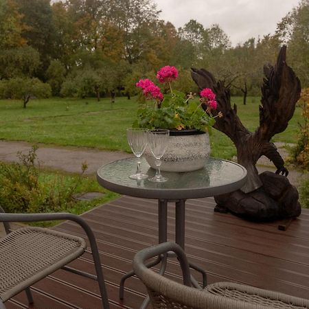 ホテル Kuelalistemaja Kukruse Residents Kohtla-Järve エクステリア 写真