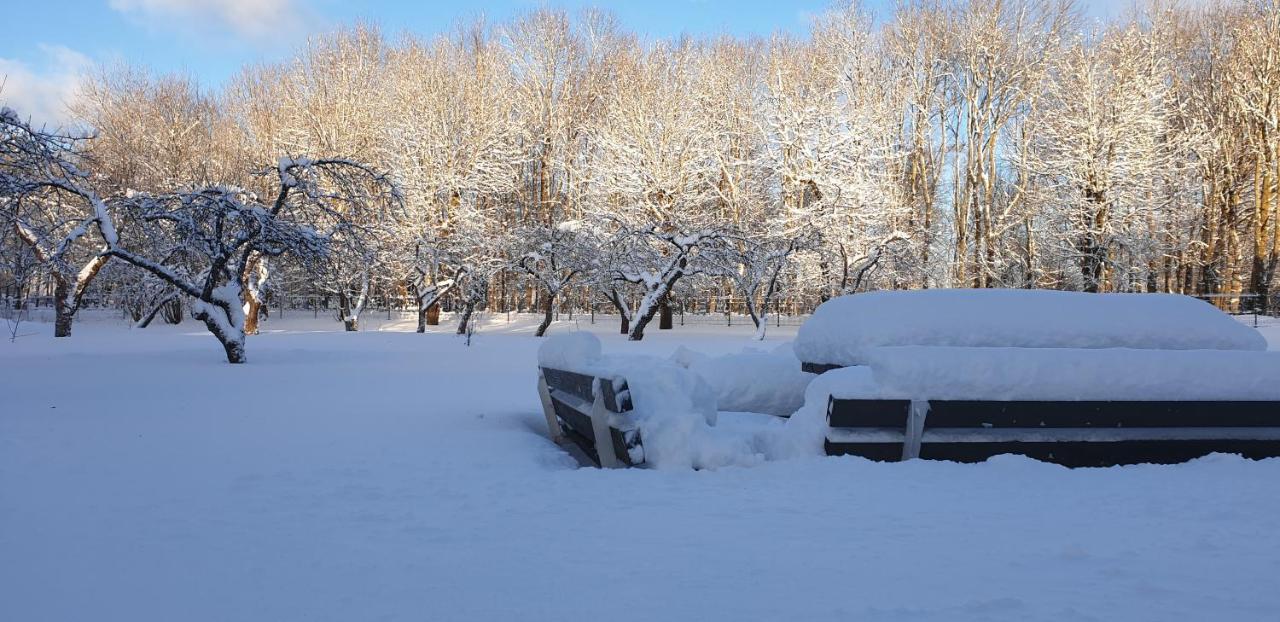 ホテル Kuelalistemaja Kukruse Residents Kohtla-Järve エクステリア 写真